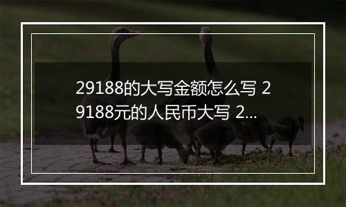 29188的大写金额怎么写 29188元的人民币大写 29188元的数字大写