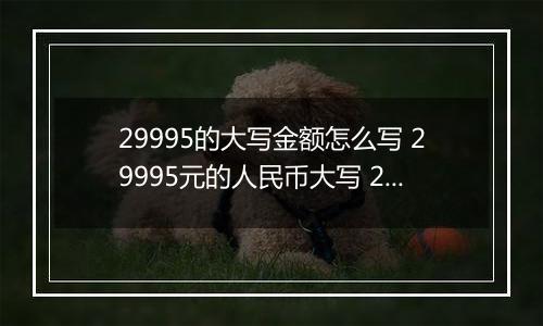 29995的大写金额怎么写 29995元的人民币大写 29995元的数字大写