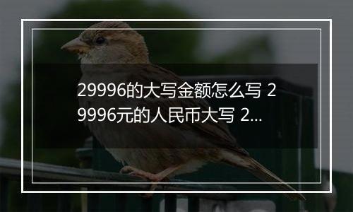 29996的大写金额怎么写 29996元的人民币大写 29996元的数字大写