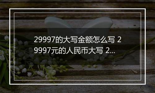 29997的大写金额怎么写 29997元的人民币大写 29997元的数字大写