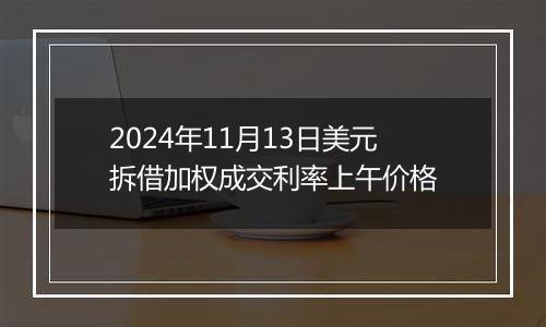 2024年11月13日美元拆借加权成交利率上午价格