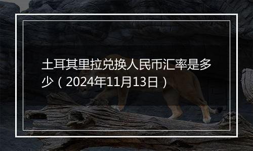 土耳其里拉兑换人民币汇率是多少（2024年11月13日）