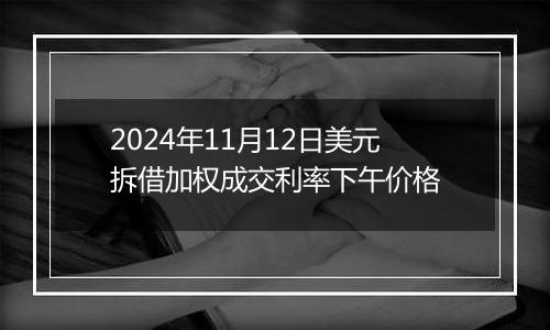 2024年11月12日美元拆借加权成交利率下午价格