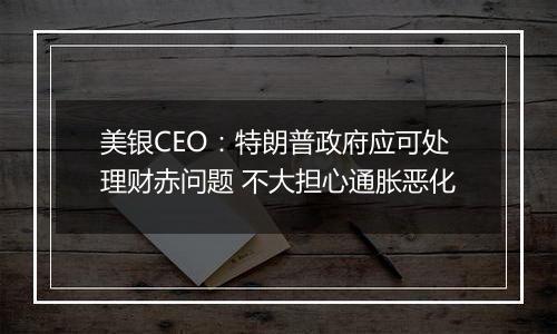 美银CEO：特朗普政府应可处理财赤问题 不大担心通胀恶化