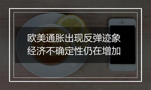 欧美通胀出现反弹迹象 经济不确定性仍在增加