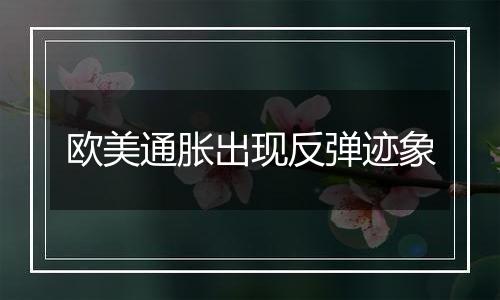 欧美通胀出现反弹迹象