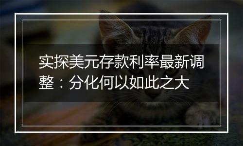 实探美元存款利率最新调整：分化何以如此之大