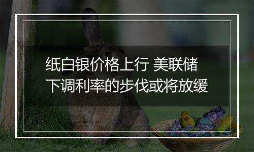 纸白银价格上行 美联储下调利率的步伐或将放缓