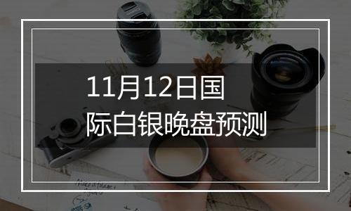 11月12日国际白银晚盘预测