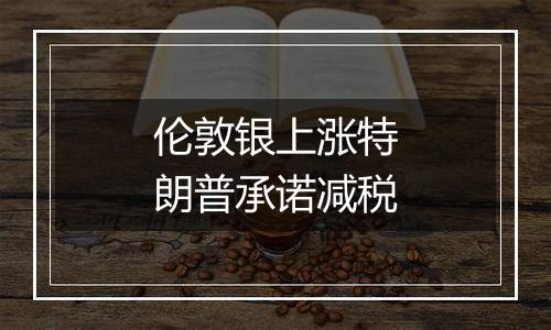 伦敦银上涨特朗普承诺减税