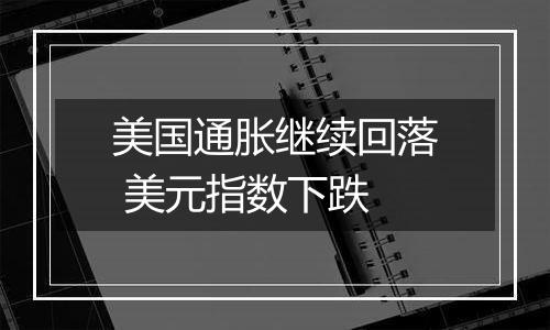 美国通胀继续回落 美元指数下跌