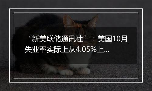 “新美联储通讯社”：美国10月失业率实际上从4.05%上升到了4.14%
