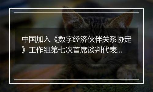 中国加入《数字经济伙伴关系协定》工作组第七次首席谈判代表会议在上海举行